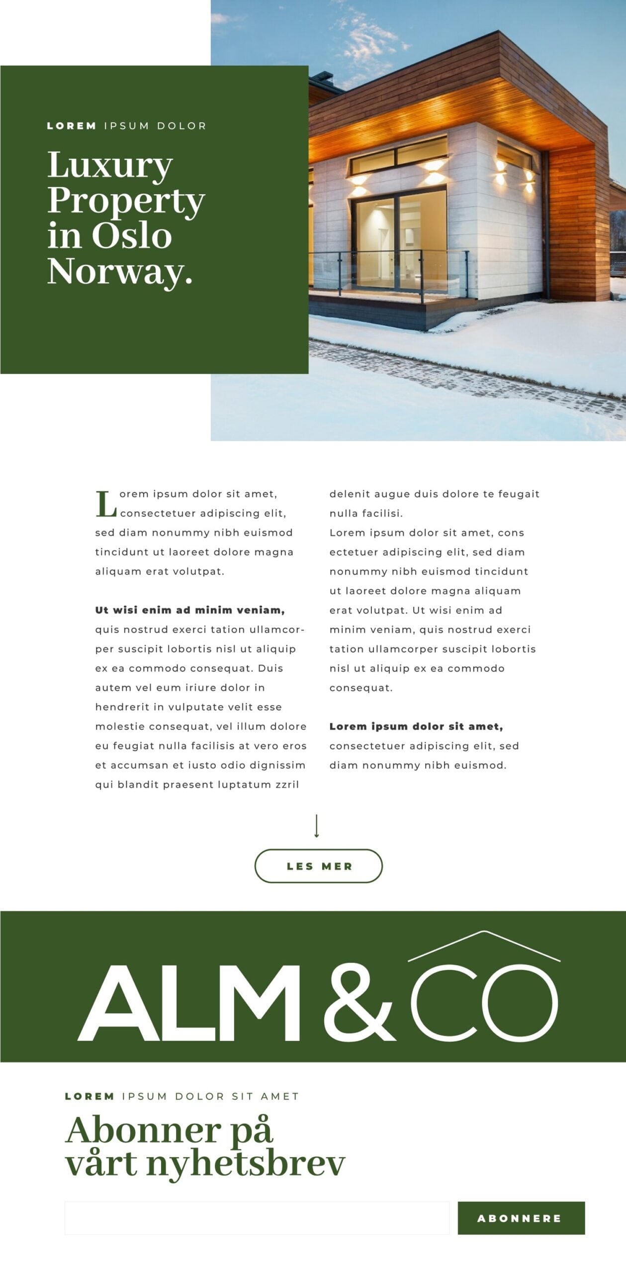 Newsletter Mockup
